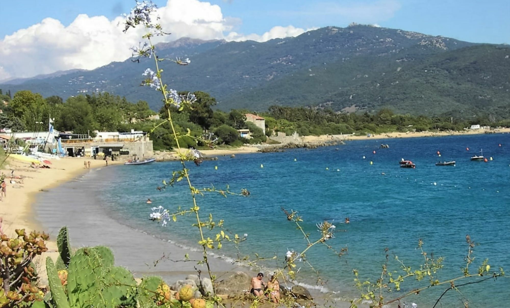 Casa Murina Hotel Ecologique De Charme Serra-di-Ferro (Corsica) Exterior foto